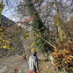 paysagiste-sierre-vercorin-valais (1)