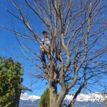 paysagiste-sierre-vercorin-valais (14)