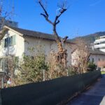 paysagiste-sierre-vercorin-valais (3)