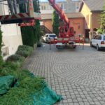 paysagiste-sierre-vercorin-valais (4)