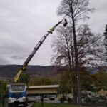 paysagiste-sierre-vercorin-valais (8)